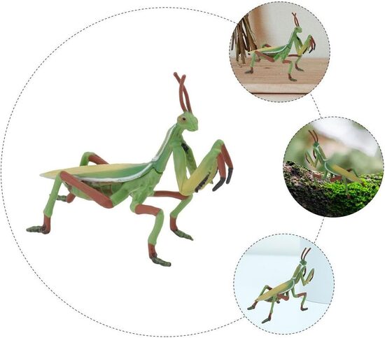 Dievlūdzēja figūra kukaiņu modelis, 10 x 7 cm