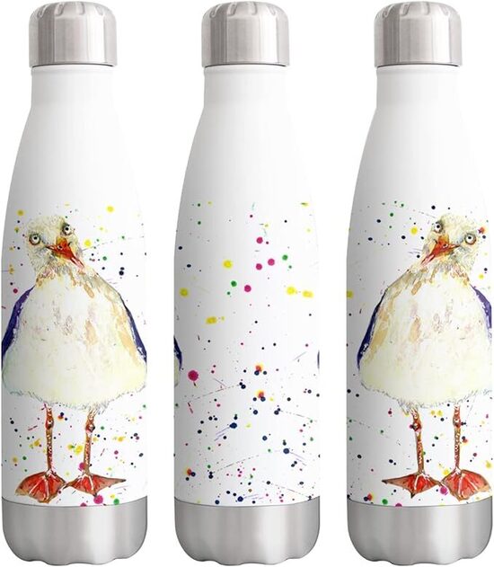 500ml nerūsējošā tērauda pudele-kaija