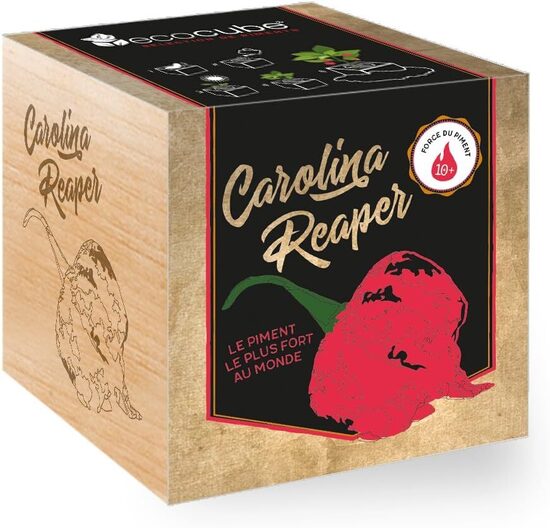 Carolina Reaper čili piparu audzēšanas komplekts