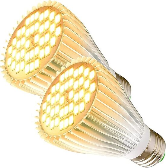 30 W LED E27 augu spuldzes 2gab 