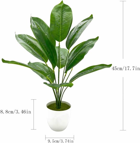 Tropiskās palmas pundurkociņš 45 cm